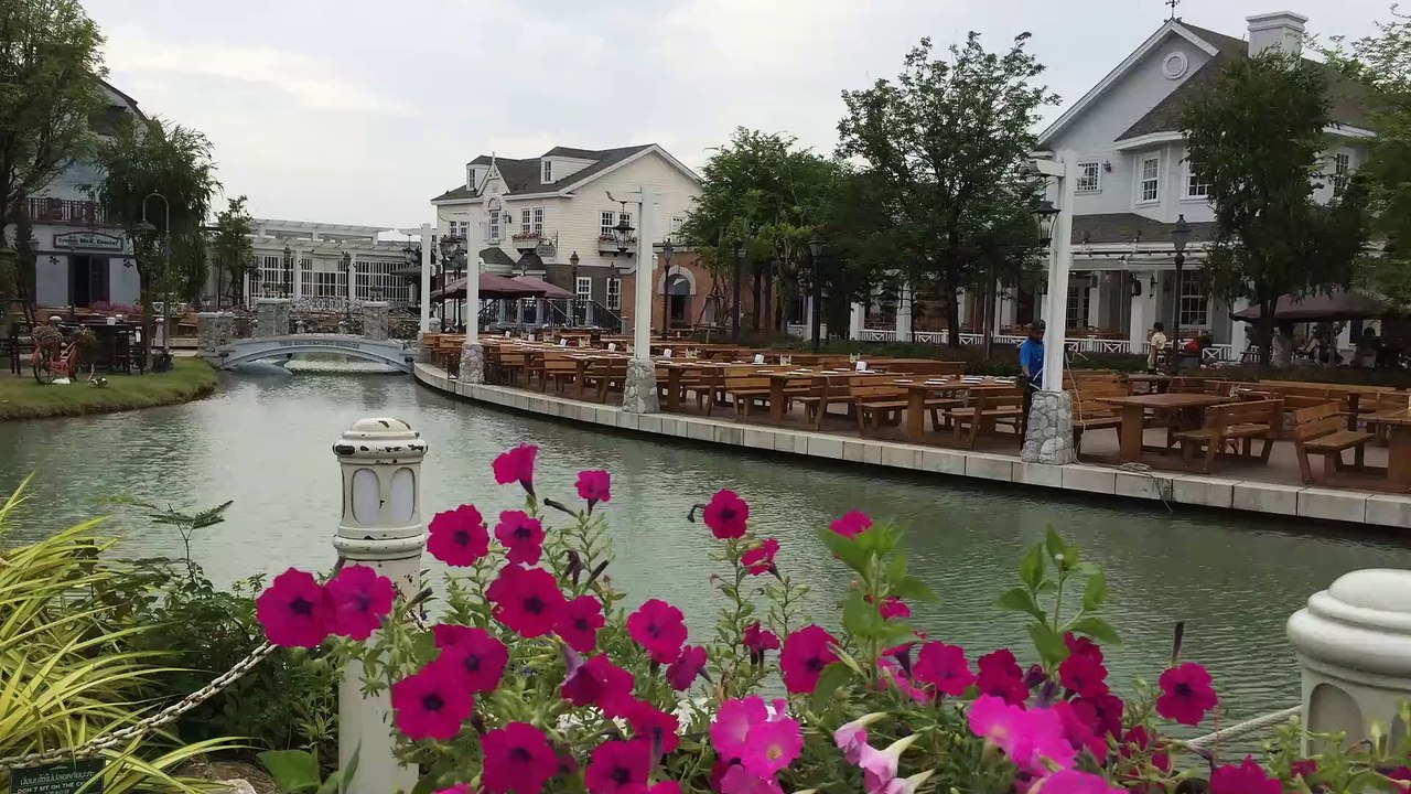 Flower on the River
