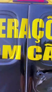 PRE apreende quase R$ 2 milhões em celulares descaminhados na PR-082, em Rondon