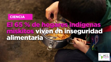 El 65 % de hogares indígenas miskitos viven en inseguridad alimentaria