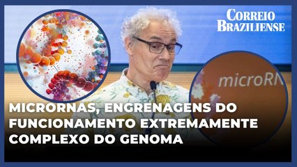 Prêmio Nobel de Medicina é concedido a pesquisadores americanos pela descoberta do microRNA