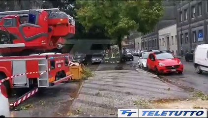 Video News - Pioggia e vento: allerta meteo