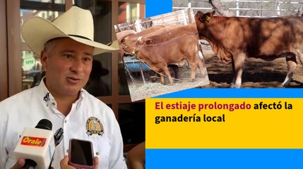 Arremeten contra diputado Ky Durán Chincoya por no actuar a favor de grupos LGBT