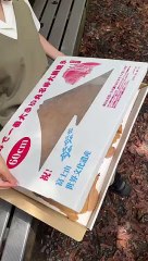 世界1デカい通常の30倍の巨大なたい焼き#たもグルメ #japanesefood