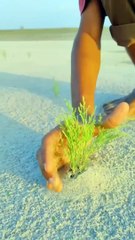 Power_of_love_part_17#youtubeshorts_#viralvideo_#trending_#foryou_#funny_#shortvideo_#viral(720p)