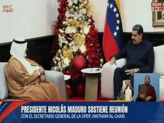 Jefe de Estado sostiene encuentro de trabajo con el Secretario General de la OPEP