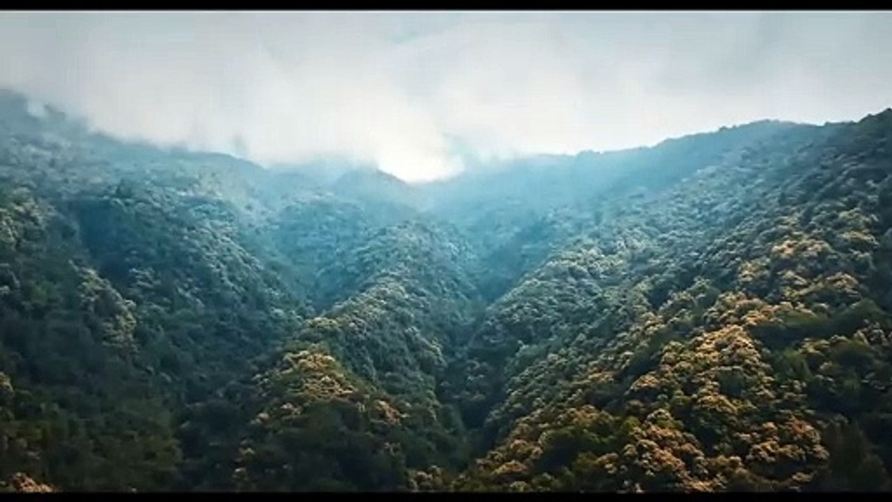 MONSTER BEAST Official Trailer (2024)