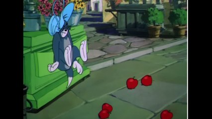 Tom y Jerry  Tom y Jerry WB Kids