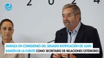 Avanza en comisiones del Senado ratificación de Juan Ramón de la Fuente como secretario de Relaciones Exteriores