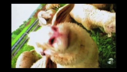 Scotty Mayer - 01 - Hipnose em Casa