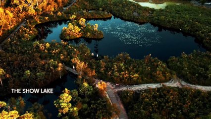 Preview # - Illumina - #Light of K'gari _ F24386 _ high (1)