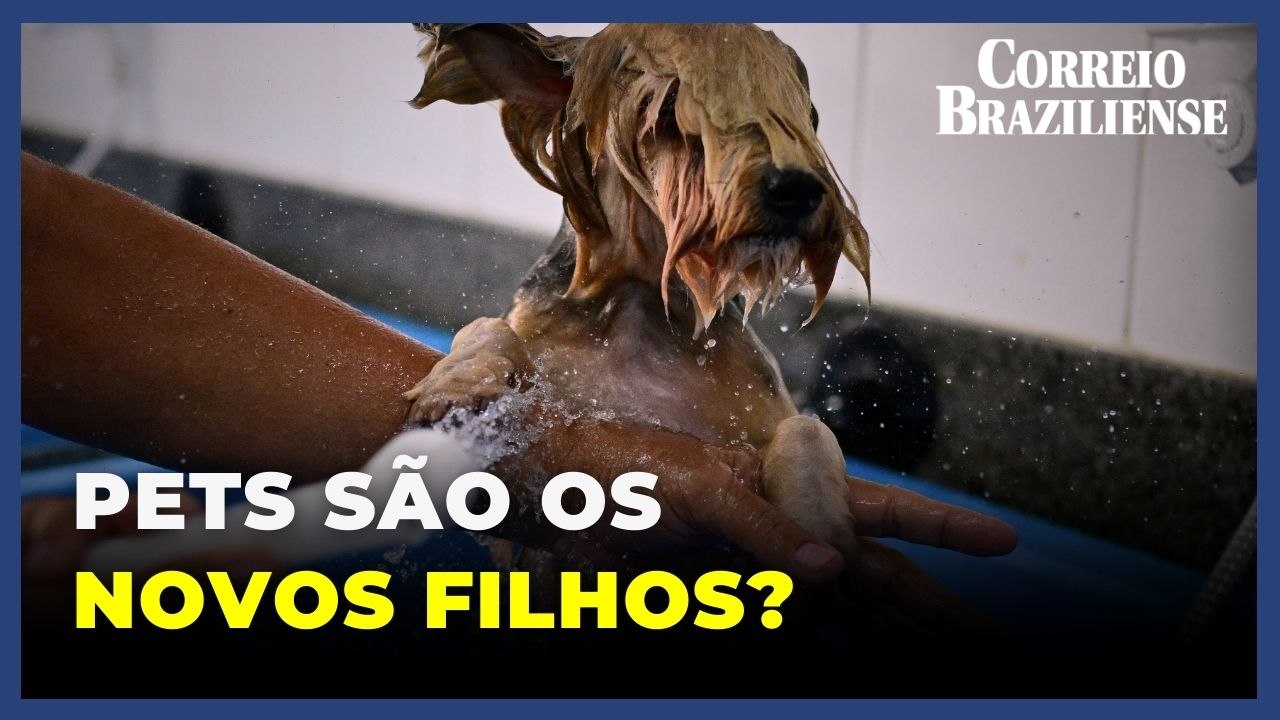 Em um Brasil com cada vez menos crianças, animais de estimação recebem os mimos