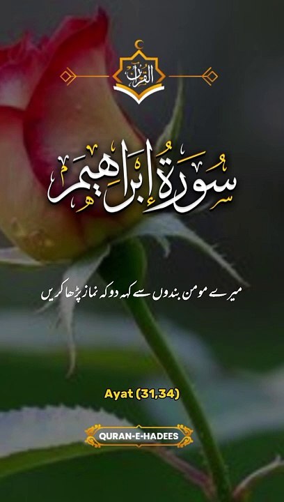 Very beautiful vedio