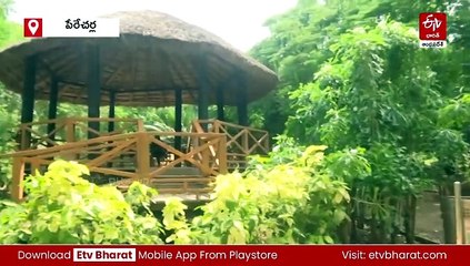 వైఎస్సార్సీపీ  హయాంలో కళతప్పిన నగరవనాలు