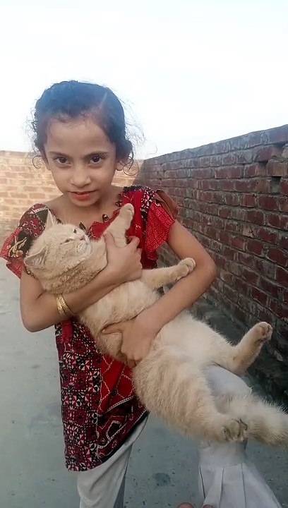 Cute baby playing with cat