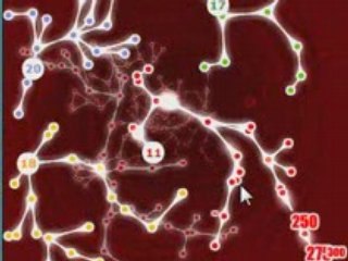 Kadokado : Synapses