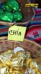 Elaboración de chocolates artesanales