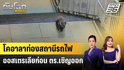 โคอาลาท่องสถานีรถไฟออสเตรเลีย ก่อน ตร.เชิญออก | ทันโลก EXPRESS | 9 ต.ค. 67
