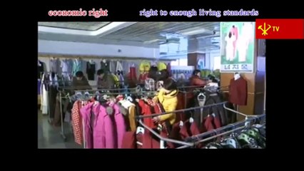 Proteção dos direitos humanos na Coreia do Norte