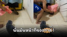 นั่งดูอย่างเดียว ไม่ทำหน้าที่เลยเจ้าเหมียว…