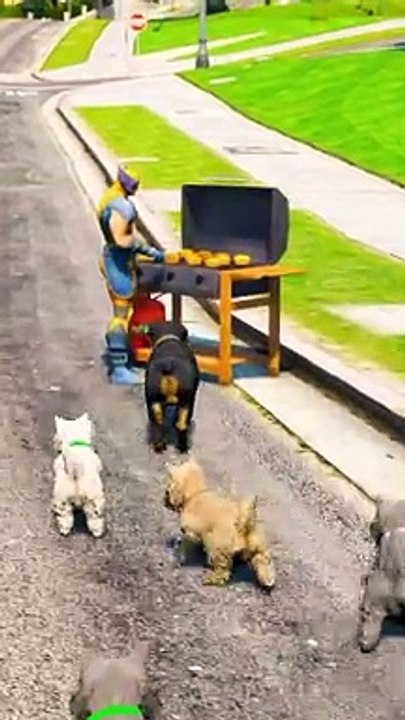 Baby Saves Dog from Spiderman in Epic Showdown