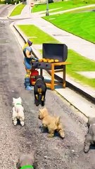 Baby Saves Dog from Spiderman in Epic Showdown