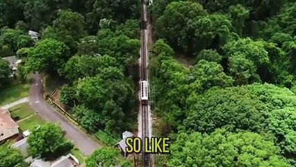 Andrew Tate motivational quotes for success in life