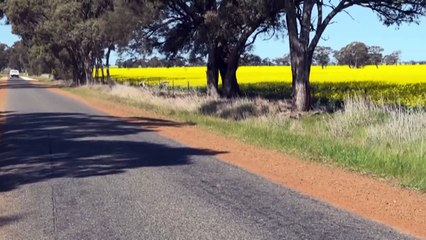 Gerald Murnane speaks about life, writing ahead of Nobel Prize for Literature announcement
