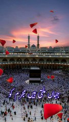 Muhabat Ho To Aisi Ho Hafiz Hasnain Muavia Jampuri