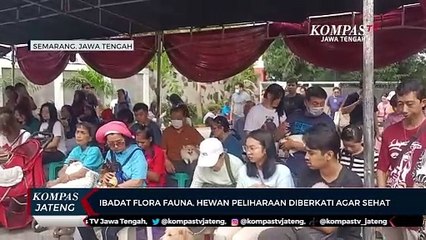 Ibadat Flora Fauna di Semarang, Hewan Peliharaan Diberkati Agar Sehat