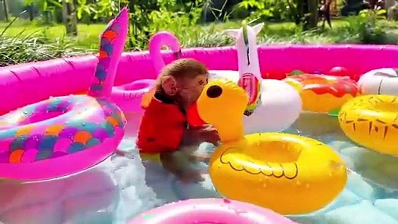 Satisfying Video l Cute Animals Collection