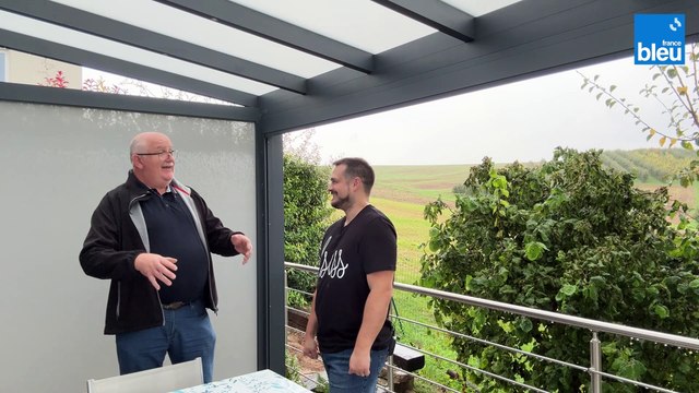 2/5 : différents types de guêpes et frelons en Alsace