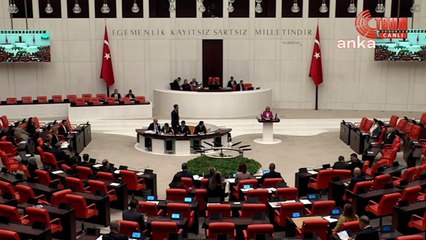 Kürsüde peruğunu çıkaran CHP'li Yönter ayakta alkışlandı