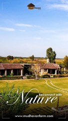 Reconnect with Nature at Mud Haven Farm