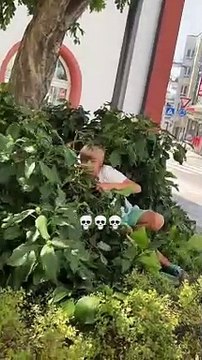 Vater macht Schattenboxen bevor GTA 6 #barber #friseur #skinfade #midfade #wasserrutsche #texture #c