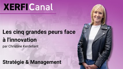 Les cinq grandes peurs face à l'innovation [Christine Kerdellant]