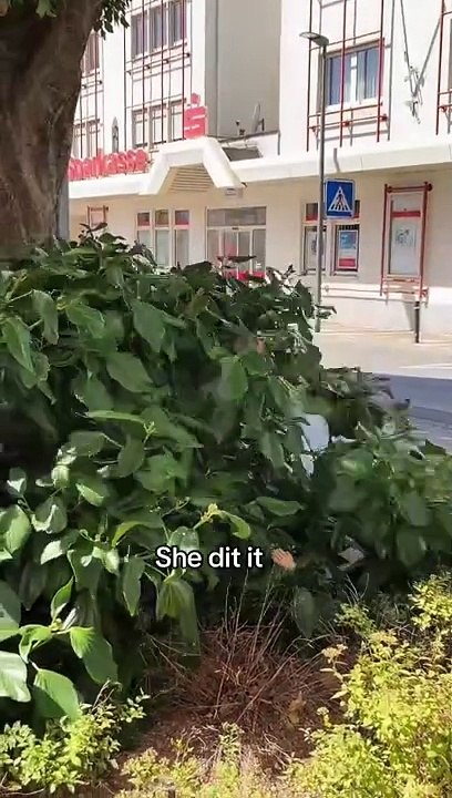 POV deine Mom springt in den Busch  #barber #friseur #skinfade #midfade #straighthair #locken #curl