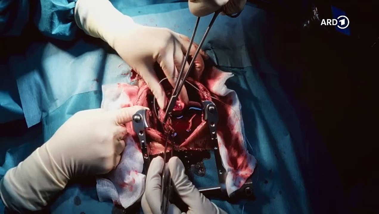 In aller freundschaft: liebenswert | folge 1068