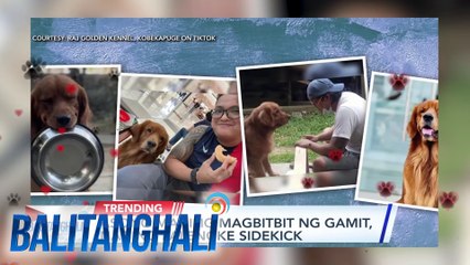 Asong mahilig magbitbit ng gamit naging palengke sidekick | Balitanghali