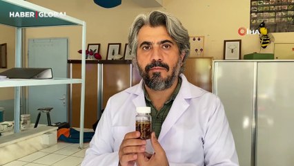 Türkiye'de keşfettiği yeni akrep türüne eşinin adını verdi