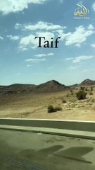 Taif #taif