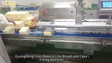 理料线方包双针注心机英文有LOGOdouble injection machine