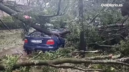 Destrozos en Santiago de Compostela tras el paso de la borrasca Kirk