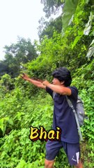 Slingshot hunting bird in jungles Village life style mini vlogs