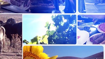 CATAS SALAMANCA EN BANDEJA