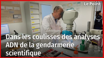 Dans les coulisses des analyses ADN de la gendarmerie scientifique