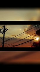 Unearthed Secrets_ Terrifying Stories from the Lot