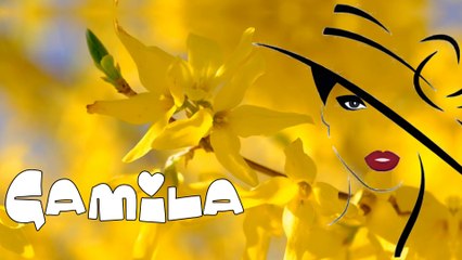 🎶 GAMILA - beautiful orchestrated melodies - HUSSEIN ELMASRY