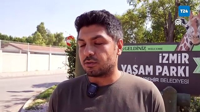 Fabrikanın bahçesinde bulunan yaralı geyik tüfekle vurulmuş