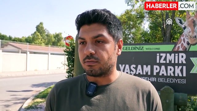 Yaralı Geyik Ateşli Silah ile Vurulmuş Olarak Bulundu