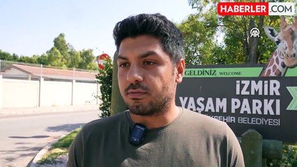 Yaralı Geyik Ateşli Silah ile Vurulmuş Olarak Bulundu